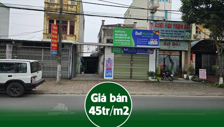 Bán đất nhà ở, diện tích 87m2, chính chủ ở Đông Hội, Đông Anh, Hà Nội