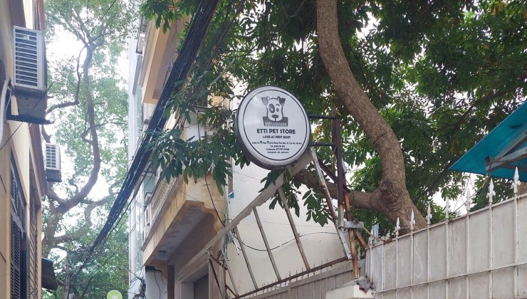 DT 142m2 x 2T, Mặt Tiền 9,3m, P.Đặng Thai Mai. Giá bán 31,5 tỷ.