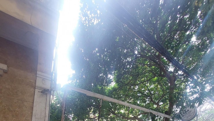 DT 142m2 x 2T, Mặt Tiền 9,3m, P.Đặng Thai Mai. Giá bán 31,5 tỷ.