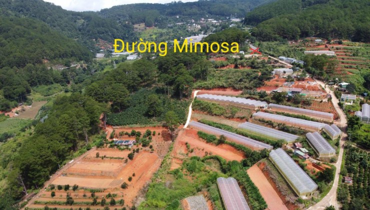 Bán đất Mimosa Phường 10 Đà Lạt 9000m2 chỉ 4,5tr/m2