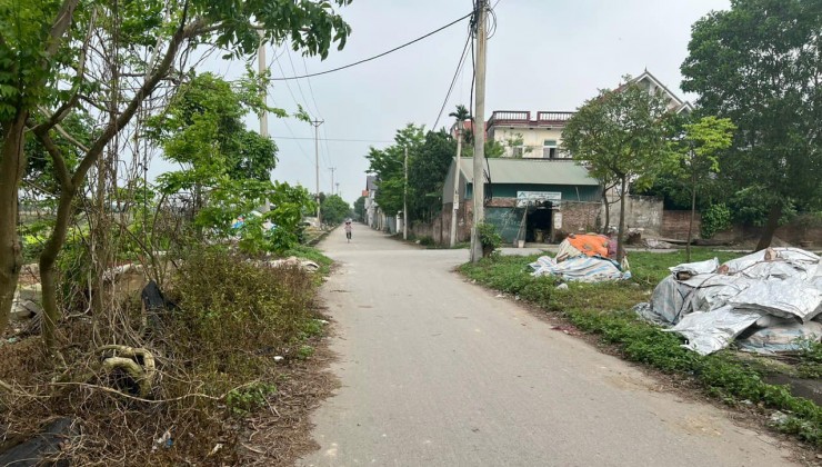 Chính chủ gửi bán 55m2 đất bìa làng thôn Đường Yên, Xuân Nộn, Đông Anh, Hà Nội