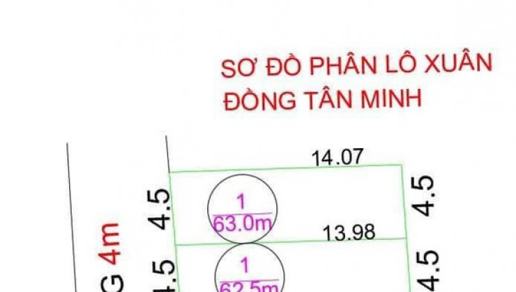 Bán 60m2 lô góc đất Thắng Trí, Minh Trí, Sóc Sơn, Hà Nội