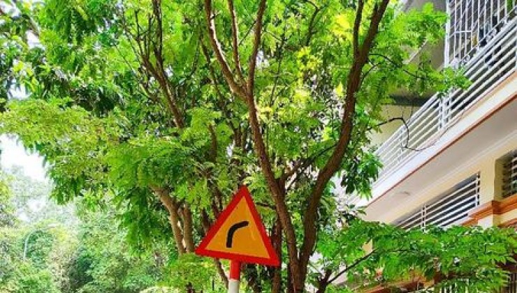 Bán phân lô phố Lĩnh Nam 65m 4 tầng view hồ