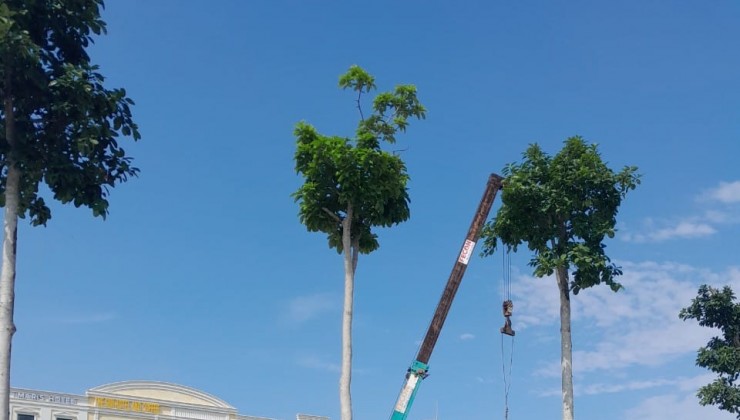 Chung cư Bình An Plaza tại Phường Quảng Thắng - TP.Thanh Hóa