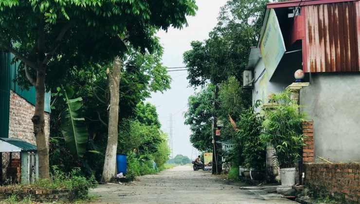 Chính chủ gửi bán 55m2 đất bìa làng thôn Đường Yên, Xuân Nộn, Đông Anh, Hà Nội