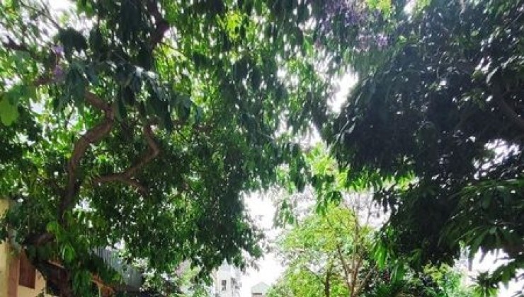 Bán phân lô phố Lĩnh Nam 65m 4 tầng view hồ