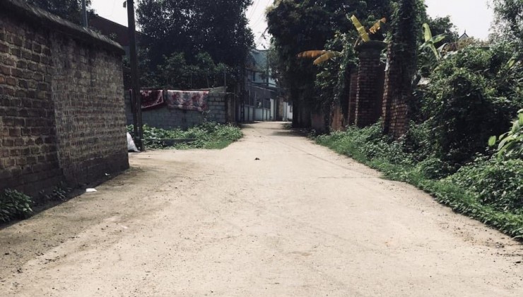 Cc gửi bán 81.5m2, 1.x tỷ (x tý hon), tk5,  lô góc, ô tô, xóm 4 Thuỷ Xuân Tiên, Chương Mỹ, gần kho J106,