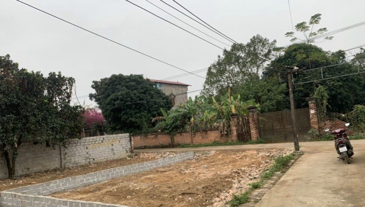 Cc gửi bán 81.5m2, 1.x tỷ (x tý hon), tk5,  lô góc, ô tô, xóm 4 Thuỷ Xuân Tiên, Chương Mỹ, gần kho J106,