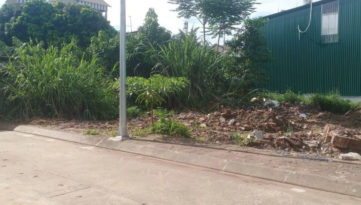 Đất ĐẤU GIÁ ĐẠI YÊN 90M2, MT 5.9m, tk1, nở hậu 6m, giá đầu tư chưa đến 2 tỷ, ô tô vào.