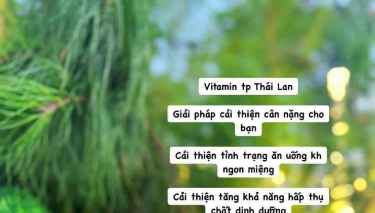 Chính chủ cần bán căn nhà siêu đẹp tại phố Phùng Hưng khu TĐC Trâm cá.