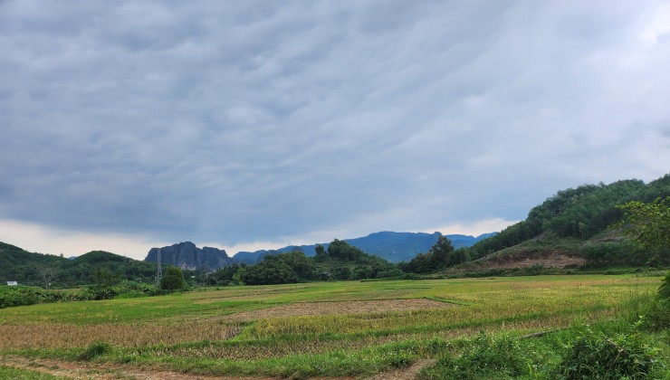 Bán Đất Đẹp - Vị Trí Đắc Địa Tại Xóm Khì, Thị trấn Mãn Đức, Huyện Tân Lạc, Tỉnh Hoà Bình