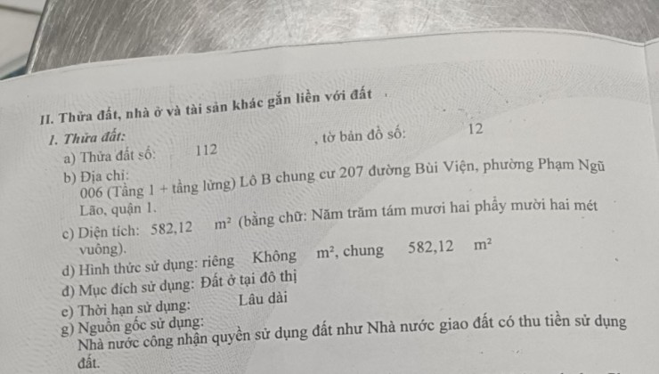 Bán tầng trệt C/C 207 đường Bùi Viện, P. Phạm Ngũ Lão, Quận 1