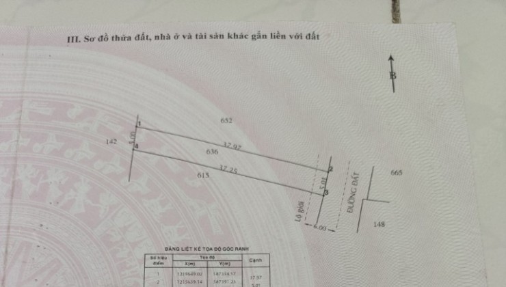 Bán đất KDC Hiện hữu gần Ngả 4 Tân Quy, Củ Chi, 5x37m Full thổ cư, đường nhựa