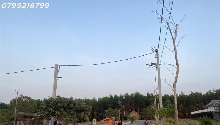 Đất nền giá rẻ sổ riêng thổ cư Bình Minh Trảng Bom Đồng Nai trọn sổ 1 tỷ 150 / nền. LH 0799 216 799 em Trinh.