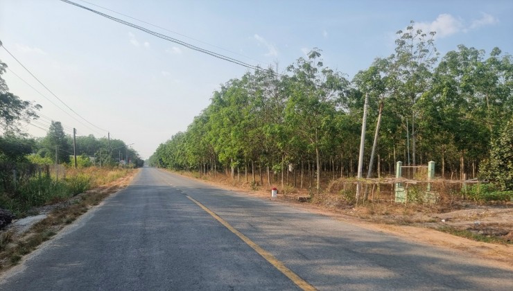 Bán đất Lộc Ninh.Diện tích: 6.3 Ha.Đất Cảnh Lộc Ninh (Có 200m2 Ong Trống).
Mặt tiền: 41m, nở hậu, đường ĐT 749A.Giá: 27 tỷ. Có thương lượng