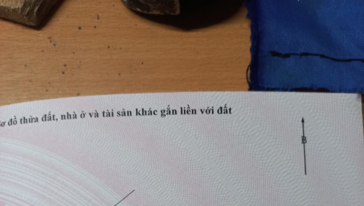 vị trí đắc địa nhất tân xã giá đầu tư mua là thắng