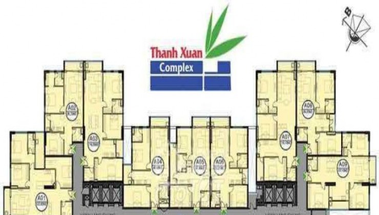 Bán gấp căn Duplex chung cư Thanh Xuân Complex - Lê Văn Thiêm, Thanh Xuân Trung