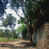 Bán Đất Đẹp - Vị Trí Đắc Địa Tại Thị trấn Lương Sơn, Huyện Lương Sơn, Hoà Bình