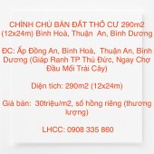 CHÍNH CHỦ BÁN  ĐẤT THỔ CƯ 290m2 (12x24m) Bình Hoà, Thuận  An, Bình Dương