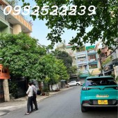 Bán nhà đường Nguyễn Gia Trí (D2), P25, Bình Thạnh (5,25x17m) XD trệt 4 lầu Sân Thượng