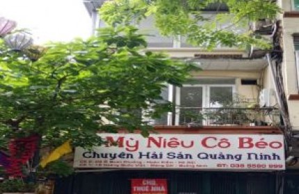 Cho thuê cả nhà 9A Ô Quan Chưởng, P. Đồng Xuân, Hoàn Kiếm, Hà Nội