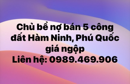 Chủ bể nợ bán 5 công đất Hàm Ninh, Phú Quốc giá ngộp