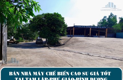 CHÍNH CHỦ BÁN NHÀ MÁY CHẾ BIẾN CAO SU GIÁ TỐT TẠI TAM LẬP-PHÚ GIÁO-BÌNH DƯƠNG