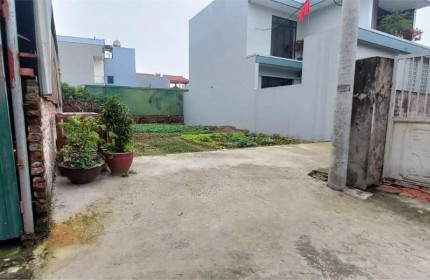 Cần Bán Gấp 69,5m2 đất Đường Yên, Xuân Nộn, Đông Anh, Hà Nội. Đất full thổ cư