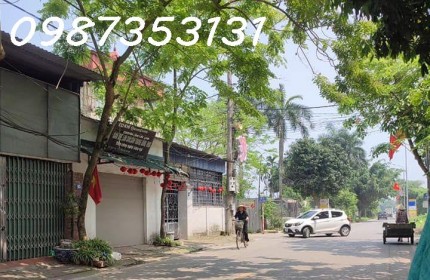 Bán đất Vân Nội, Đông Anh, đường 8m hoạt động bỏ mặc, giá tốt hơn thị trường!