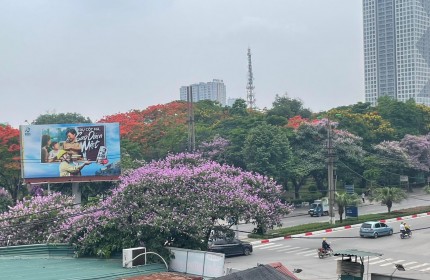 Bán nhà mặt phố Tô Hiến Thành, Hà Đông, vị trí đẹp, kinh doanh, 78m2, 2 tầng, 13.9 tỷ