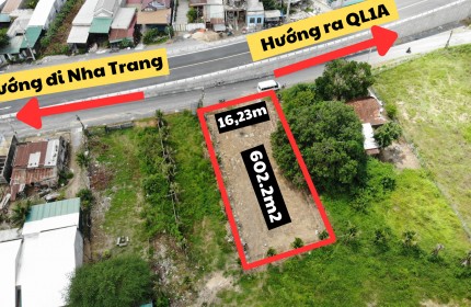 Siêu hạ giá lô đất đặc biệt tại Tỉnh Lộ 3 – Cam Lâm. Cơ hội đầu tư không thể bỏ qua!