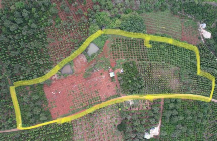 Chính chủ cần bán nhanh lô đất Nông nghiệp tại xã Đắk Drô, huyện Krông Nô, tỉnh Đắk Nông.