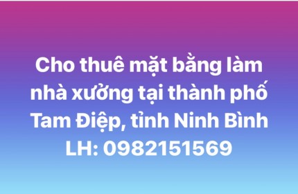 Cho thuê mặt bằng làm nhà xưởng tại thành phố Tam Điệp, tỉnh Ninh Bình