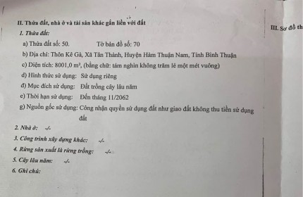 CHÍNH CHỦ Cần Bán Gấp Đất Vị Trí Đẹp Tại Thôn Kê Gà, xã Tân Thành, Hàm Thuận Nam, Bình Thuận