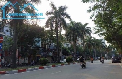 Bán biệt thự Hồ Văn Quán 200 m mt 10 m đường đôi kinh doanh cho thuê 1 tỷ/năm giá 50 tỷ h