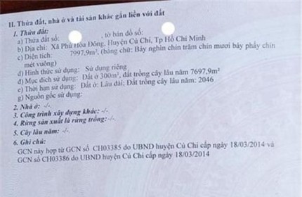 ĐẤT ĐẸP - GIÁ TỐT - Cần Bán Nhanh Lô Đất Vị Trí Đắc Địa Tại Phú Hòa Đông, Củ Chi, TP Hồ Chí Minh