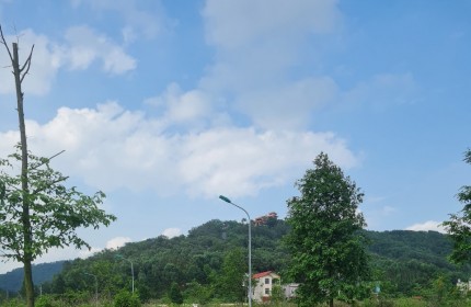Bán Đất Khu Lạc Phú 1, Huyện Yên Dũng, Bắc Giang. 83m2.  MT 5m.  đường 16m. Giá 1.5 tỷ