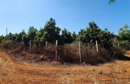 Sở Hữu Ngay 2 lô đất sát Hồ Ea Nhái, gần ngay mặt tiền đường lớn