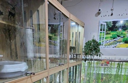 CHÍNH CHỦ SANG PET SHOP DỊCH VỤ SPA VÀ HOTEL F19 QUẬN BÌNH THẠNH - TP HCM