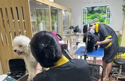 CHÍNH CHỦ SANG PET SHOP DỊCH VỤ SPA VÀ HOTEL F19 QUẬN BÌNH THẠNH - TP HCM