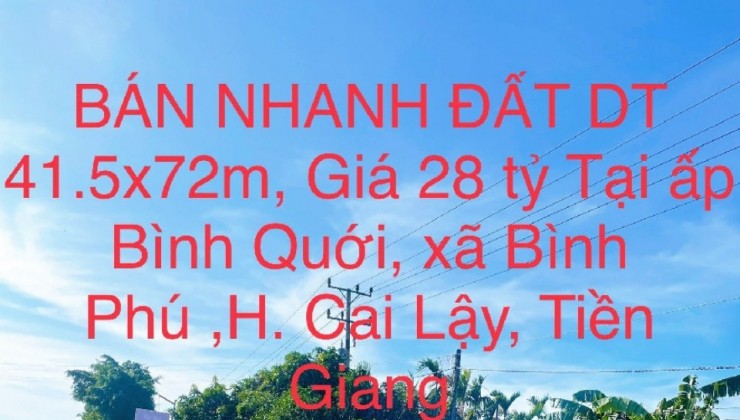 BÁN NHANH ĐẤT DT 41.5x72m, Giá 28 tỷ Tại xã Bình Phú ,huyện Cai Lậy , Tiền Giang