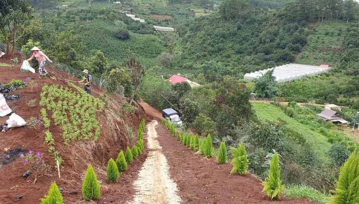 CẦN TIỀN CHÍNH CHỦ BÁN MẢNH ĐẤT Vị Trí Đẹp Tại Xuân Sơn, Thành Phố Đà Lạt