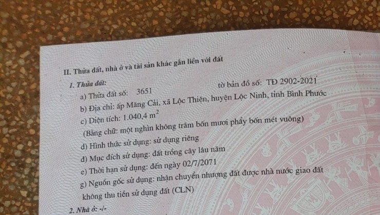 Chính Chủ Cần Bán Đất Tại Ấp Măng Cải, Lộc Thiện, Lộc Ninh, Bình Phước.