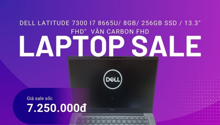 Dell Latitude 7300 i7 8665U/ 8GB/ 256GB SSD / 13.3