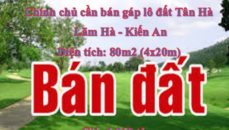 Chính chủ cần bán gáp lô đất Tân Hà, Lãm Hà, Kiến An ( ngay cầu Niệm).