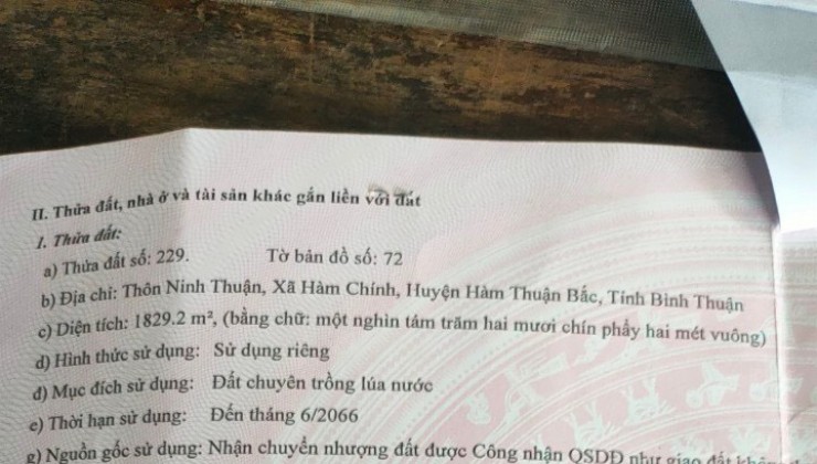 ĐẤT ĐẸP – GIÁ TỐT - Chính Chủ Cần Bán nhanh lô đất MẶT TIỀN tại Xã Hàm Chính, Huyện Hàm Thuận Bắc