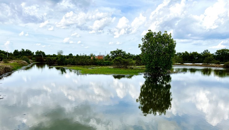 BÁN ĐẤT NUÔI TÔM , THẢ LANG TẠI DUYÊN HẢI, TRÀ VINH