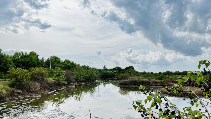 BÁN ĐẤT NUÔI TÔM , THẢ LANG TẠI DUYÊN HẢI, TRÀ VINH