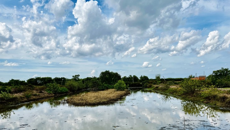 BÁN ĐẤT NUÔI TÔM , THẢ LANG TẠI DUYÊN HẢI, TRÀ VINH