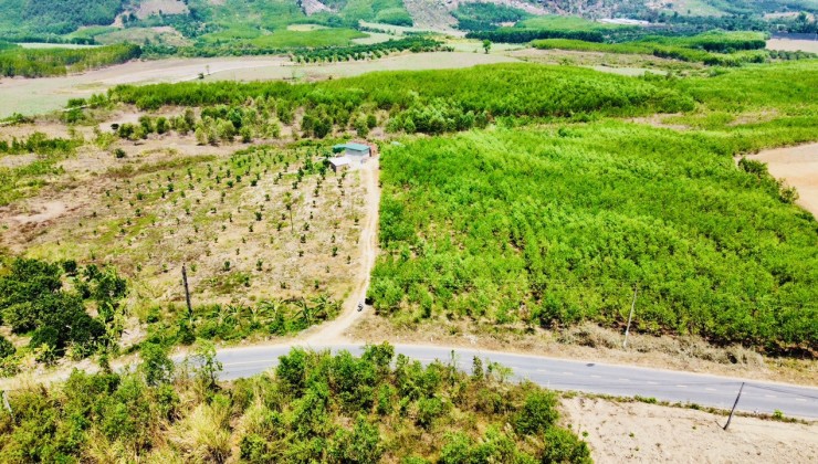 Hạ Giá Đất vườn Mặt tiền Tỉnh Lộ *b xã Khánh Nam đã đăng kí 1000m thổ rộng 2325m ngang 25m cách Nha Trang 37km